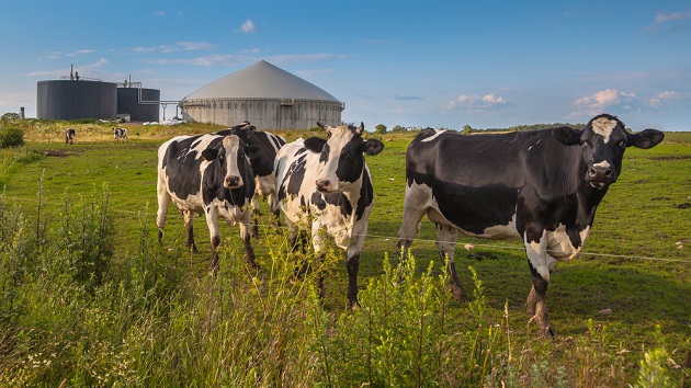 Biogas Aktien