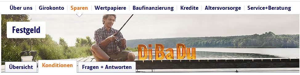 ING-DiBa Startseite zum Festgeld